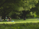 Das Bild zeigt eine vierköpfige Familie, die einen sonnigen Tag in einem Park geniesst. Die Eltern sitzen auf einer Decke und die Kinder spielen in der Nähe. Im Hintergrund befinden sich mehrere andere Personen, die den Park geniessen. Der Park ist üppig und grün, mit hohen Bäumen, die Schatten spenden.