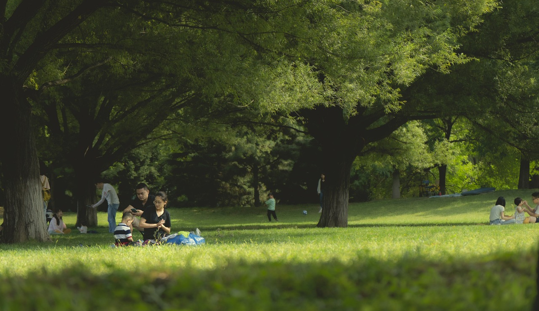 Das Bild zeigt eine vierköpfige Familie, die einen sonnigen Tag in einem Park geniesst. Die Eltern sitzen auf einer Decke und die Kinder spielen in der Nähe. Im Hintergrund befinden sich mehrere andere Personen, die den Park geniessen. Der Park ist üppig und grün, mit hohen Bäumen, die Schatten spenden.