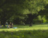 Das Bild zeigt eine vierköpfige Familie, die einen sonnigen Tag in einem Park geniesst. Die Eltern sitzen auf einer Decke und die Kinder spielen in der Nähe. Im Hintergrund befinden sich mehrere andere Personen, die den Park geniessen. Der Park ist üppig und grün, mit hohen Bäumen, die Schatten spenden.